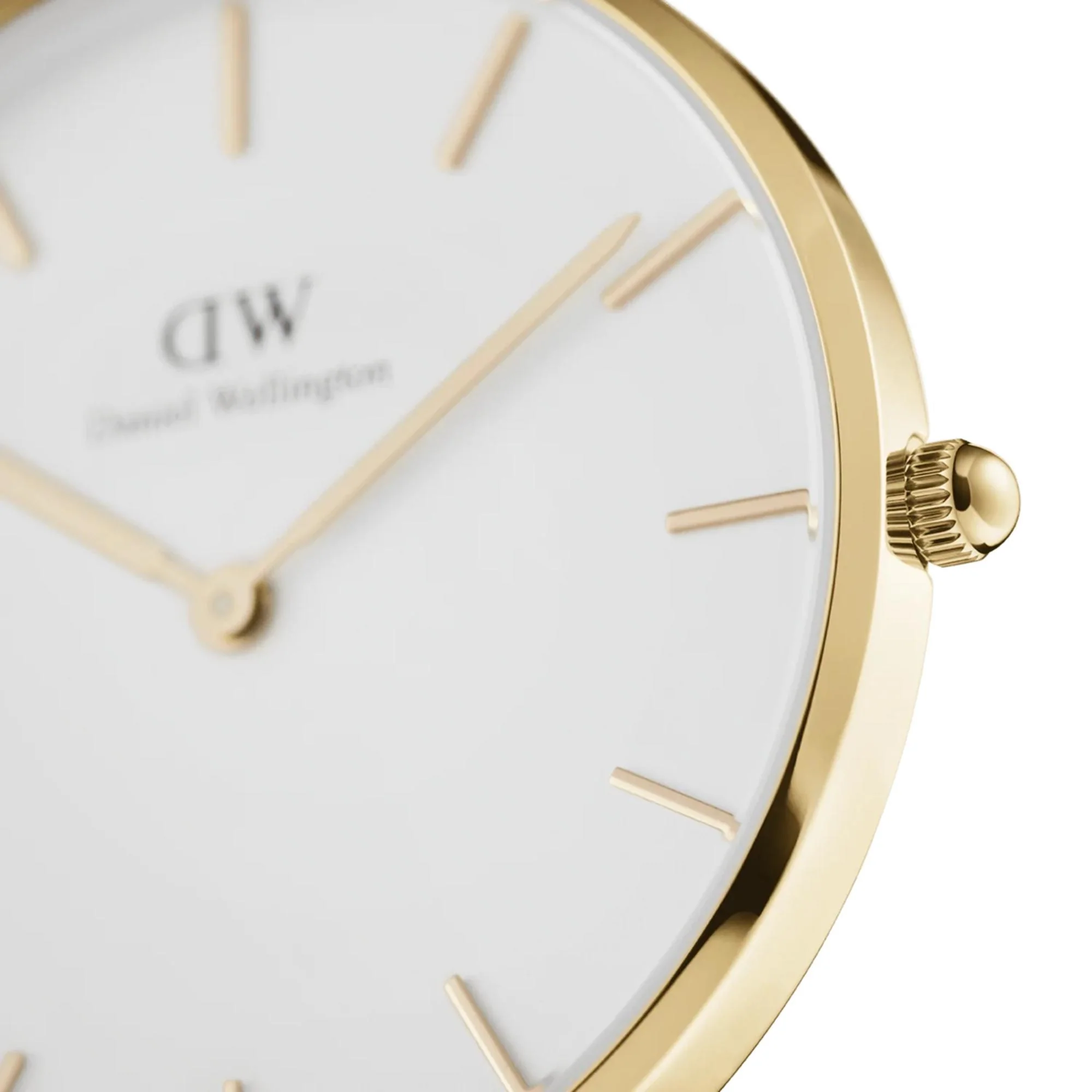 Daniel Wellington Petite Evergold G White Dial Women’s Watch DW00100346 - Image 3
