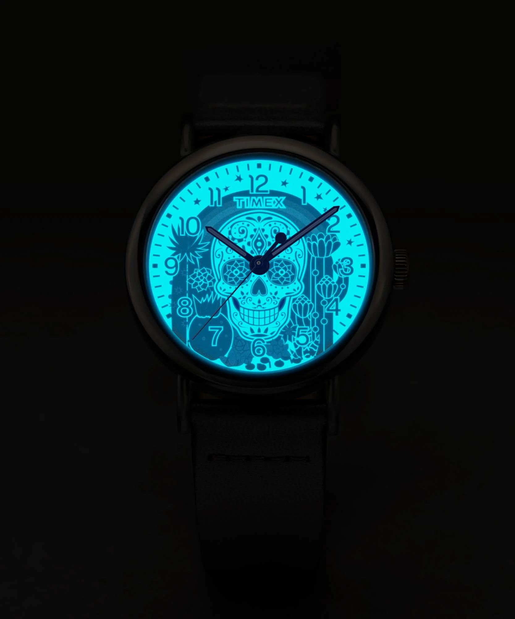 Timex Weekender Day of the Dead Quartz Multicoloured Dial Leather Strap Men's Watch TW2Y15900 - Image 11